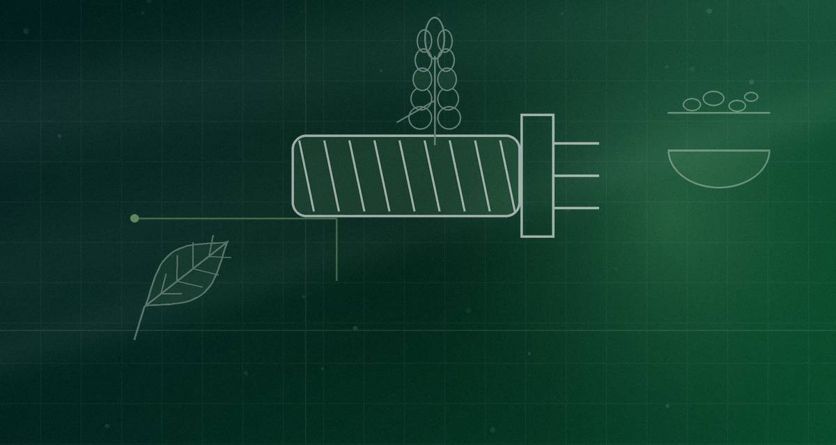 Millet product development: what works and what does not — Align Experts