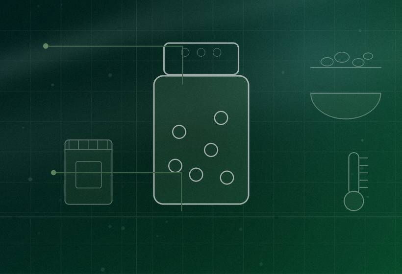 Recipe standardisation — Traditional Snacks, Align Experts