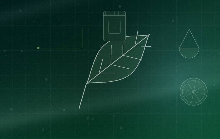 Fruit &amp; Vegetable Based Products — Align Experts