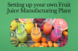 Setting Up a Fruit Juice Manufacturing Plant