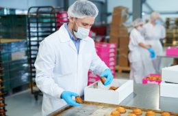 Opportunities in Food Processing Industry